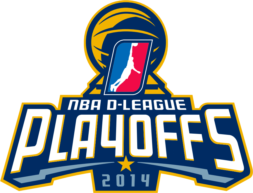 NBA D-League Championship 2014 Special Event Logo iron on heat transfer